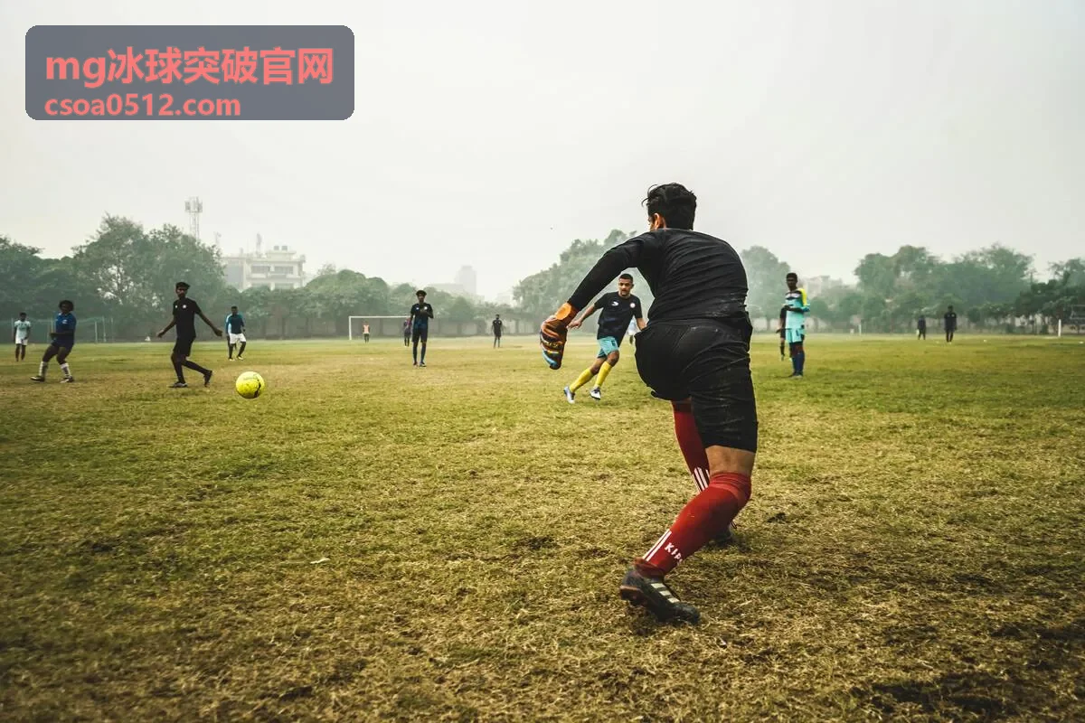 mg冰球突破官网场馆与场地合作中的冰面维护与排期对接场景